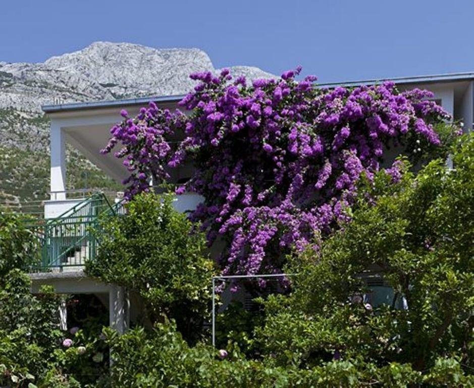 House Marta Apartment Baška Voda Екстериор снимка